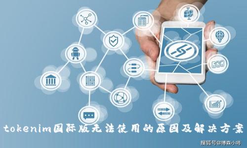 tokenim国际版无法使用的原因及解决方案