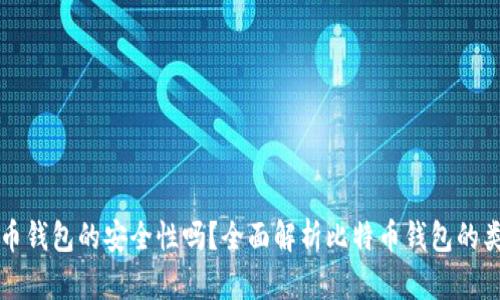 你相信比特币钱包的安全性吗？全面解析比特币钱包的类型与优缺点