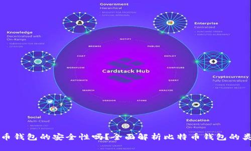 你相信比特币钱包的安全性吗？全面解析比特币钱包的类型与优缺点