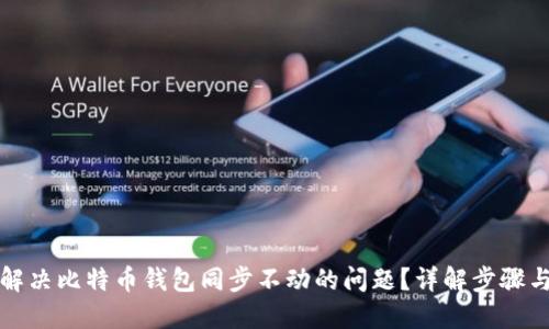 如何解决比特币钱包同步不动的问题？详解步骤与技巧