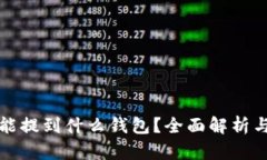 屎币能提到什么钱包？全面解析与推荐