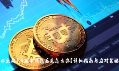 以太坊1.0版本钱包丢失怎么办？详细指南与应对