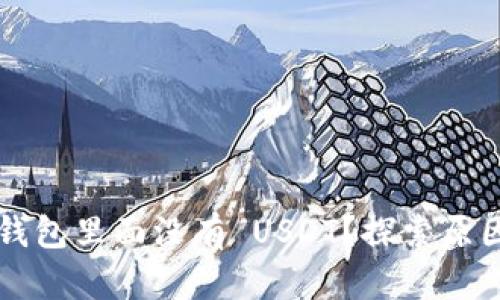 为什么我的钱包里面没有 USDT？探索原因与解决方案