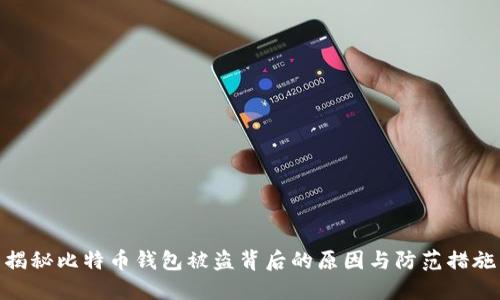 揭秘比特币钱包被盗背后的原因与防范措施