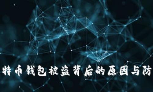 揭秘比特币钱包被盗背后的原因与防范措施