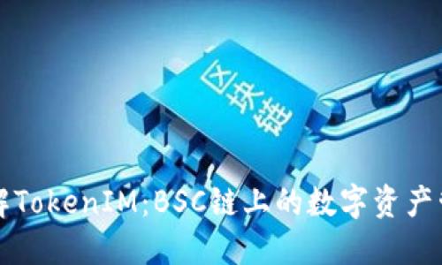 深入了解TokenIM：BSC链上的数字资产管理工具