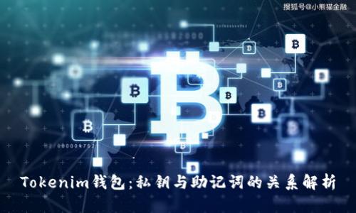 Tokenim钱包：私钥与助记词的关系解析