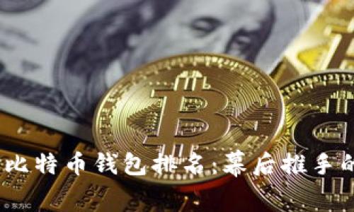 2023年大户比特币钱包排名：幕后推手的温暖与风险