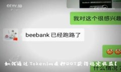 如何通过Tokenim质押DOT获得稳定收益？
