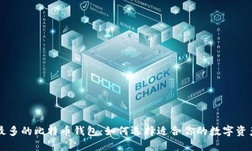 国内使用最多的比特币钱包：如何选择适合你的数字资产管理工具