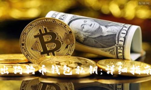 如何安全导出狗狗币钱包私钥：详细指南与注意事项