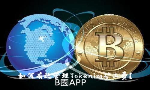 如何有效管理Tokenim矿工费？