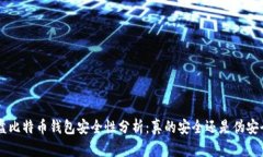 U盘比特币钱包安全性分析：真的安全还是伪安全