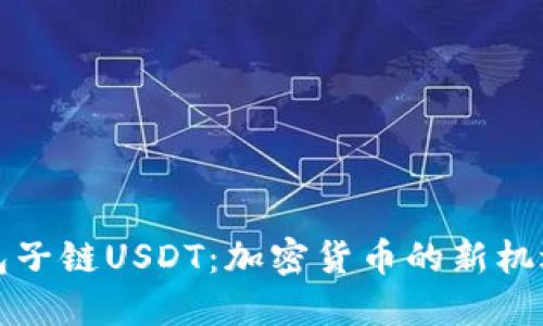 波宝钱包子链USDT：加密货币的新机遇与挑战