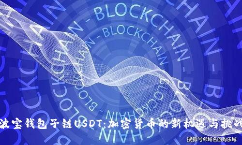 波宝钱包子链USDT：加密货币的新机遇与挑战