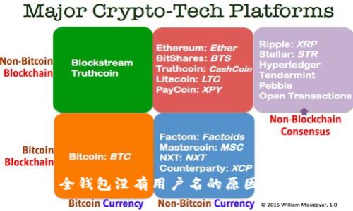 狗狗币全钱包没有用户名的原因及解决方案