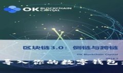 如何将狗狗币导入你的数字钱包：简单步骤指南