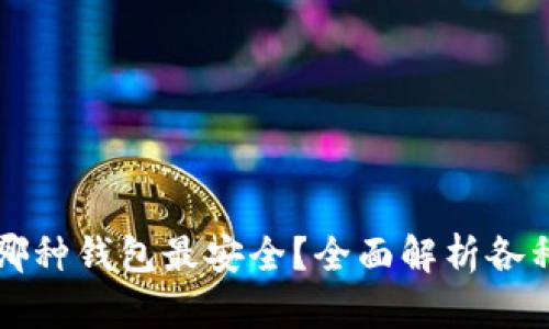 比特币存放哪种钱包最安全？全面解析各种比特币钱包