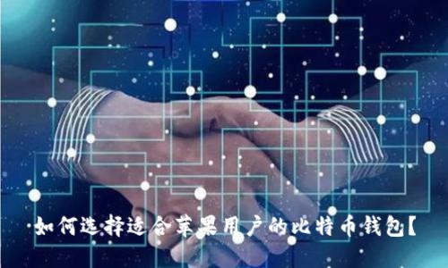 如何选择适合苹果用户的比特币钱包？