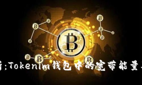 深入解析：Tokenim钱包中的宽带能量及其影响