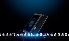 当你丢失了比特币钱包：冷静应对的方法与策略