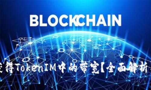 如何有效获得TokenIM中的带宽？全面解析与实用技巧