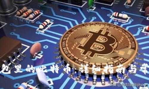 如何查看钱包里的比特币：详细指南与常见问题解析