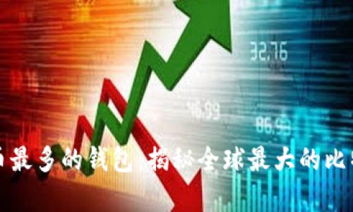拥有比特币最多的钱包：揭秘全球最大的比特币持有者