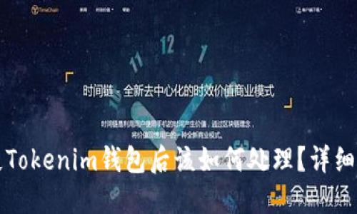 丢失Tokenim钱包后该如何处理？详细指南