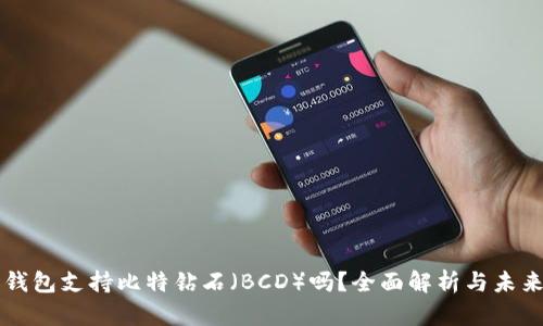 火币钱包支持比特钻石（BCD）吗？全面解析与未来展望