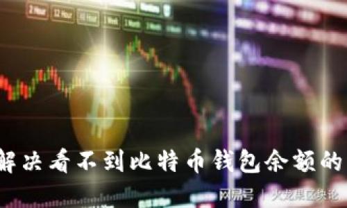 如何解决看不到比特币钱包余额的问题？