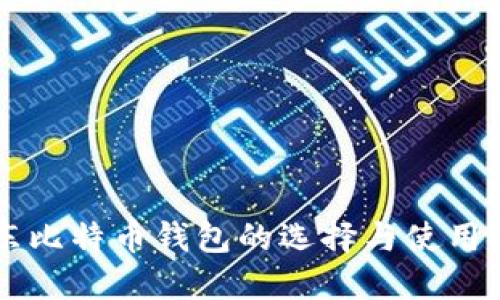 中东比特币钱包的选择与使用指南