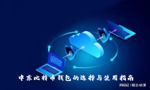 中东比特币钱包的选择与使用指南