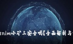 Tokenim小矿工安全吗？全面解析与评估