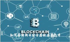 如何将狗狗币安全存放在钱包中