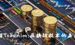 深入了解Tokenim：区块链技术的未来与应用