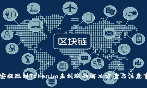 币安提现到Tokenim未到账的解决方案与注意事项
