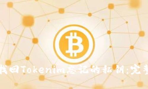 如何找回Tokenim忘记的私钥：完整指南