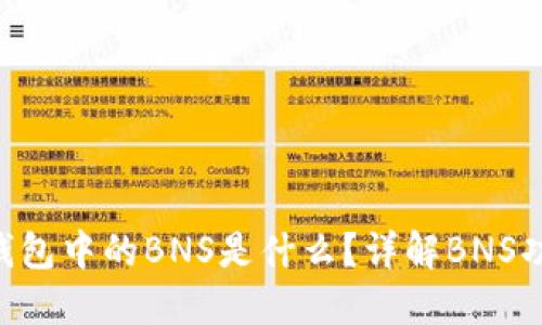 Tokenim钱包中的BNS是什么？详解BNS功能与优势