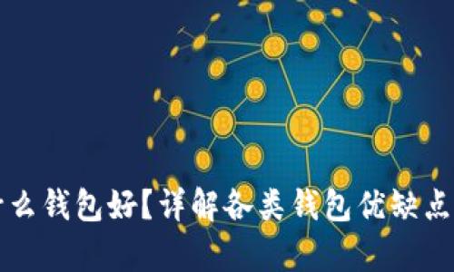 比特币存什么钱包好？详解各类钱包优缺点及选择指南