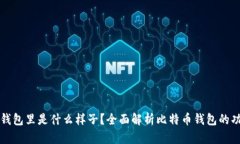 比特币在钱包里是什么样子？全面解析比特币钱