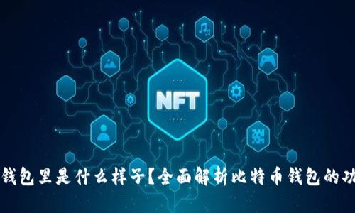 比特币在钱包里是什么样子？全面解析比特币钱包的功能与种类