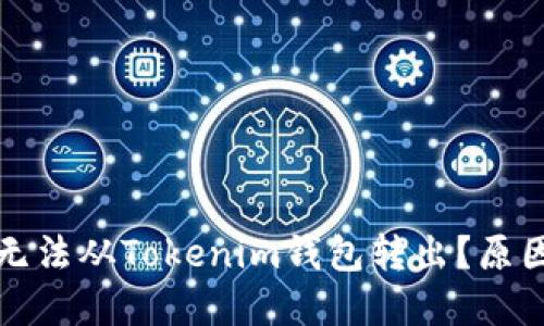 波卡币（Polkadot）无法从Tokenim钱包转出？原因及解决方案全指南