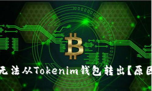 波卡币（Polkadot）无法从Tokenim钱包转出？原因及解决方案全指南