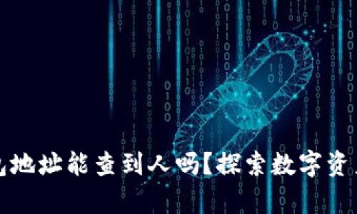 泰达币钱包地址能查到人吗？探索数字资产隐私问题