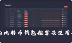 国内比特币钱包推荐及使用指南
