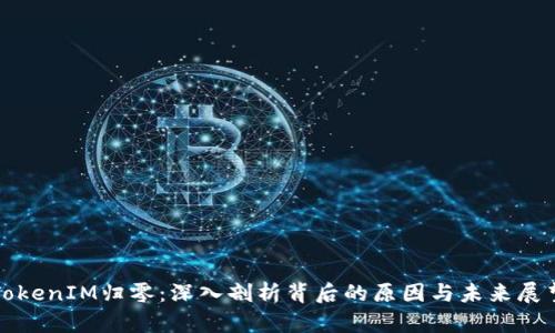 TokenIM归零：深入剖析背后的原因与未来展望
