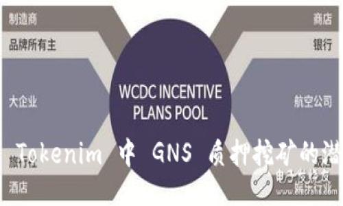 深入探讨 Tokenim 中 GNS 质押挖矿的潜力与策略