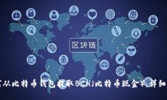如何从比特币钱包提取BCH（比特币现金）：详细