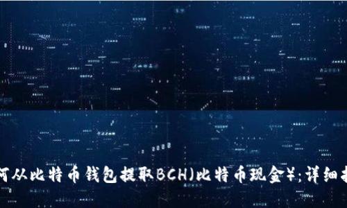 如何从比特币钱包提取BCH（比特币现金）：详细指南